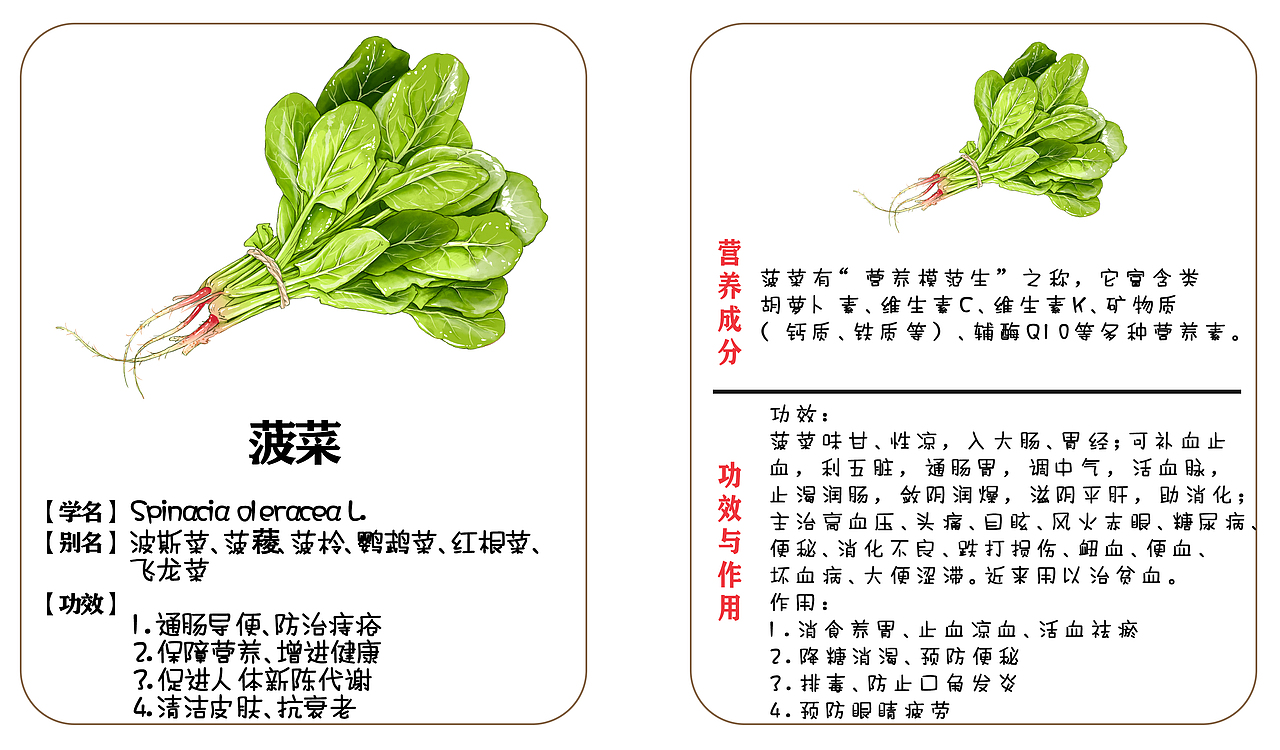 植物蔬菜科普卡贴（图ZMjgxNzc4MTc2） - 儿童插画 - 站酷设计师胖琳PANGLIN原创素材 - 站酷ZCOOL