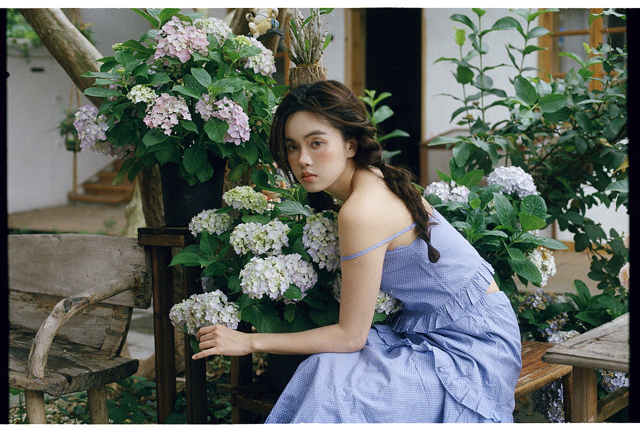 Effeuiller la marguerite