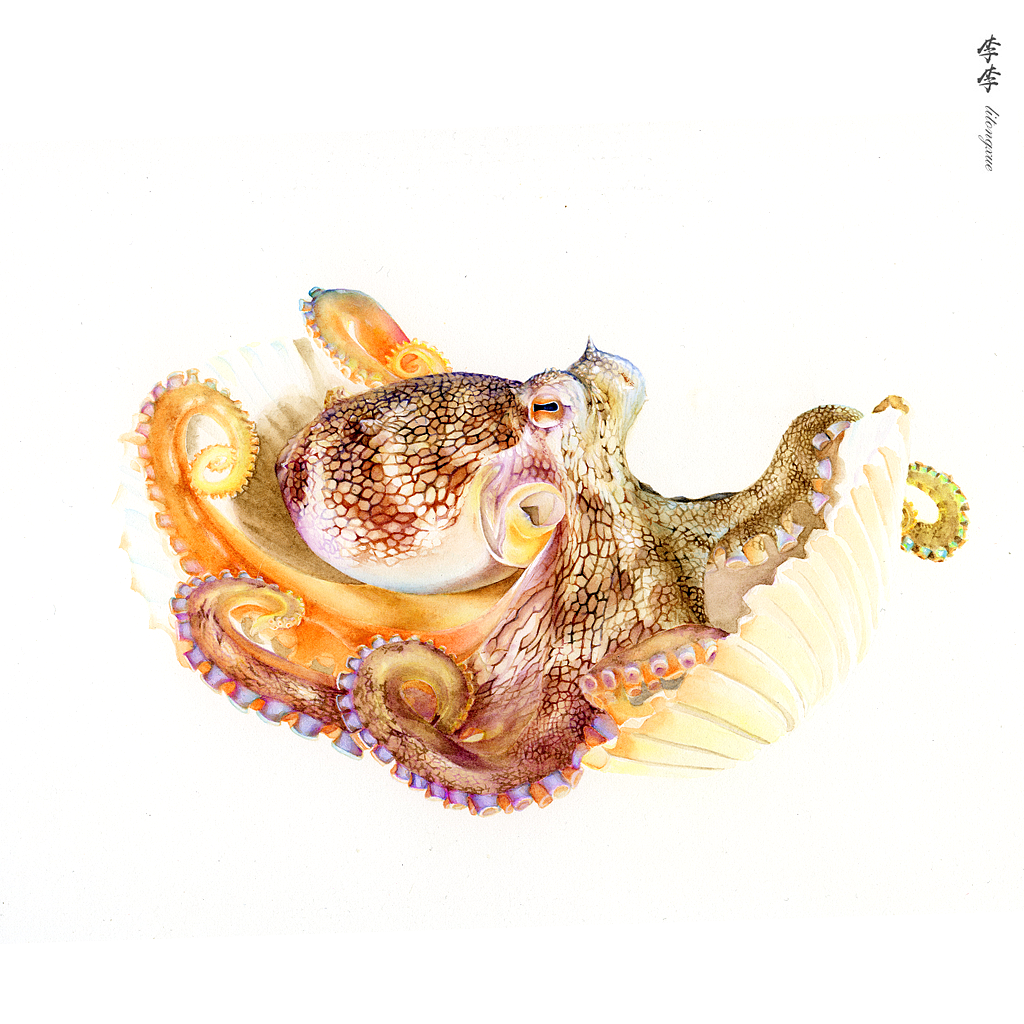 水彩小章鱼练习（图ZMTIyMzg1MjM2） - 创作习作 - 站酷设计师李李纸间万物原创素材 - 站酷ZCOOL