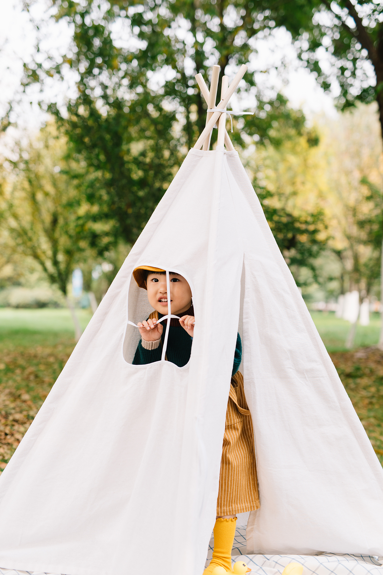 你是初冬的那一抹亮色