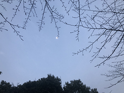 大肥花猫的个人主页（背景预览） - 主页背景设置 - 站酷设计师大肥花猫原创素材 - 站酷ZCOOL