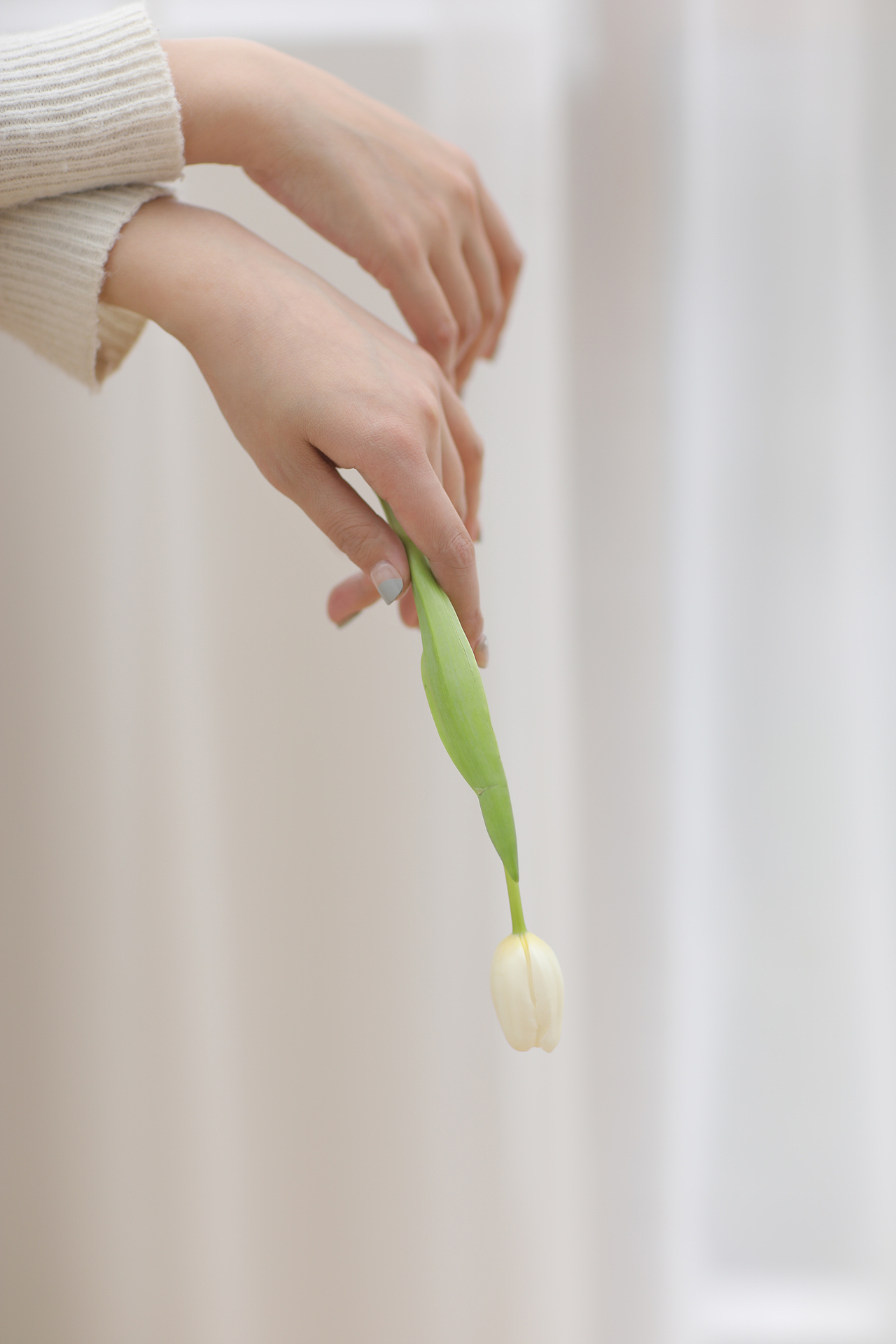 写真（图ZMTkzMTE3Nzg0） - 人像摄影 - 站酷设计师按快门的松狮原创素材 - 站酷ZCOOL