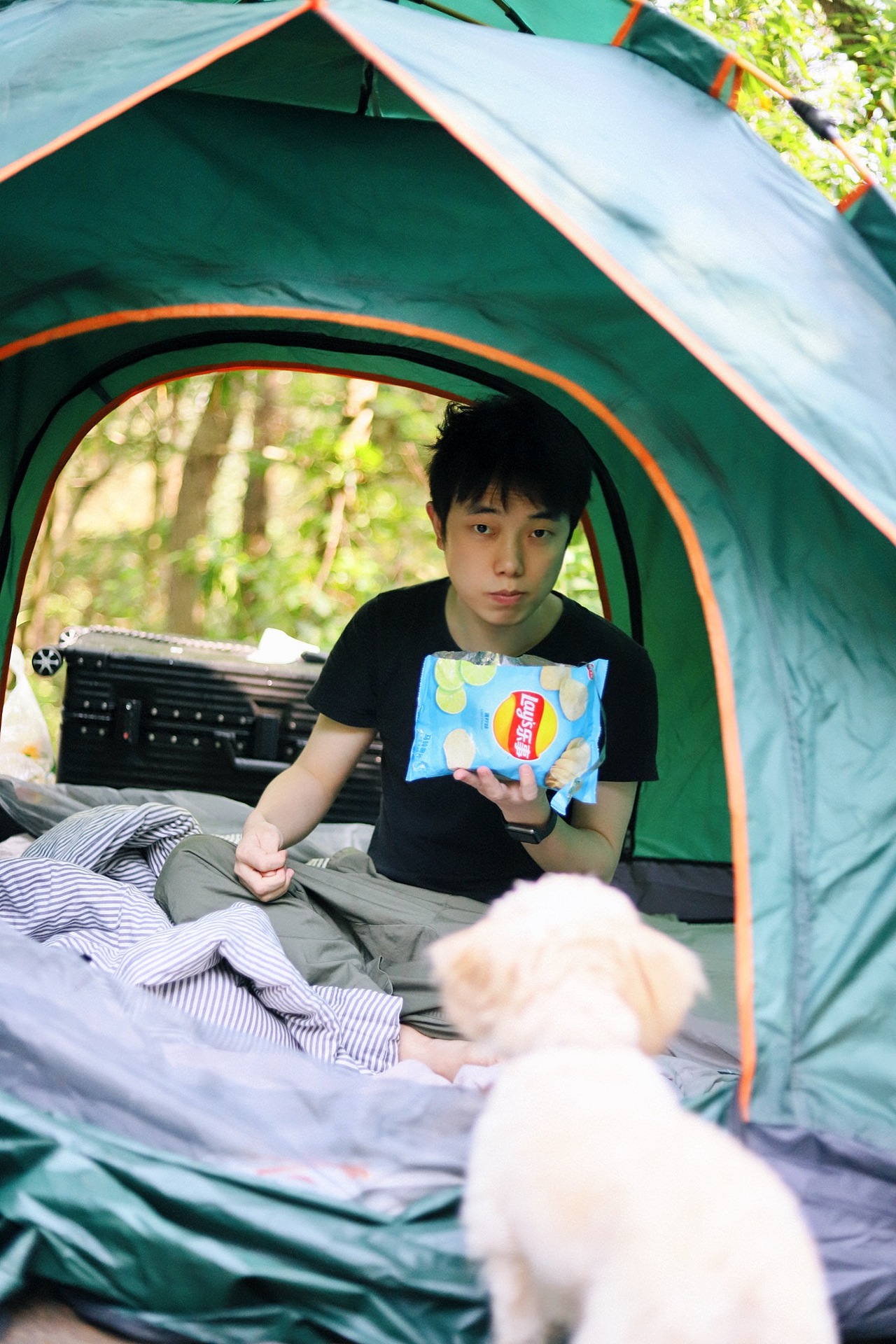 重庆铁山坪露营基地（图ZMjA2NDc5NTky） - 风光摄影 - 站酷设计师Lohbin原创素材 - 站酷ZCOOL