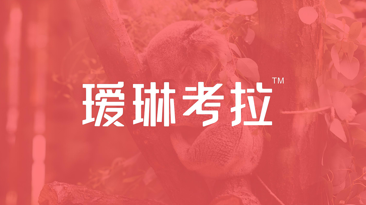 瑷琳考拉品牌IP形象设计(宠物食品品牌设计)