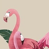 兮兮小米的头像