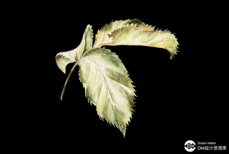 【59期】水墨古风工笔画，不一样的调调，把素材带走吧（图ZMTYwMzE3NTIw） - 图案 - 站酷设计师DM设计资源库原创素材 - 站酷ZCOOL