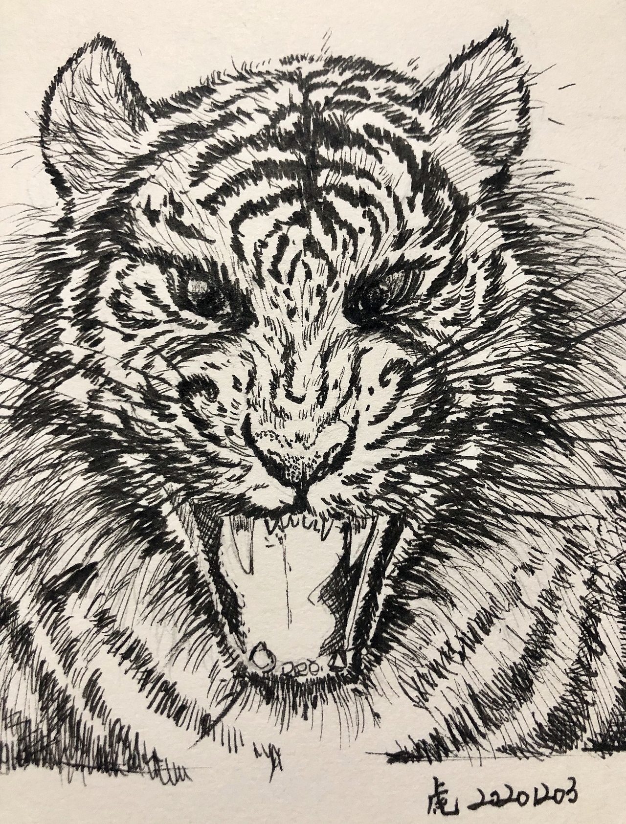 钢笔画动物合集