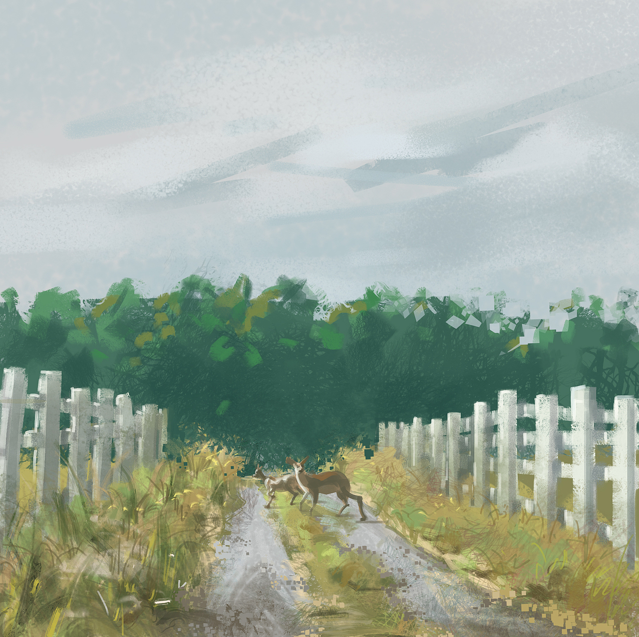 一些个人作品练习