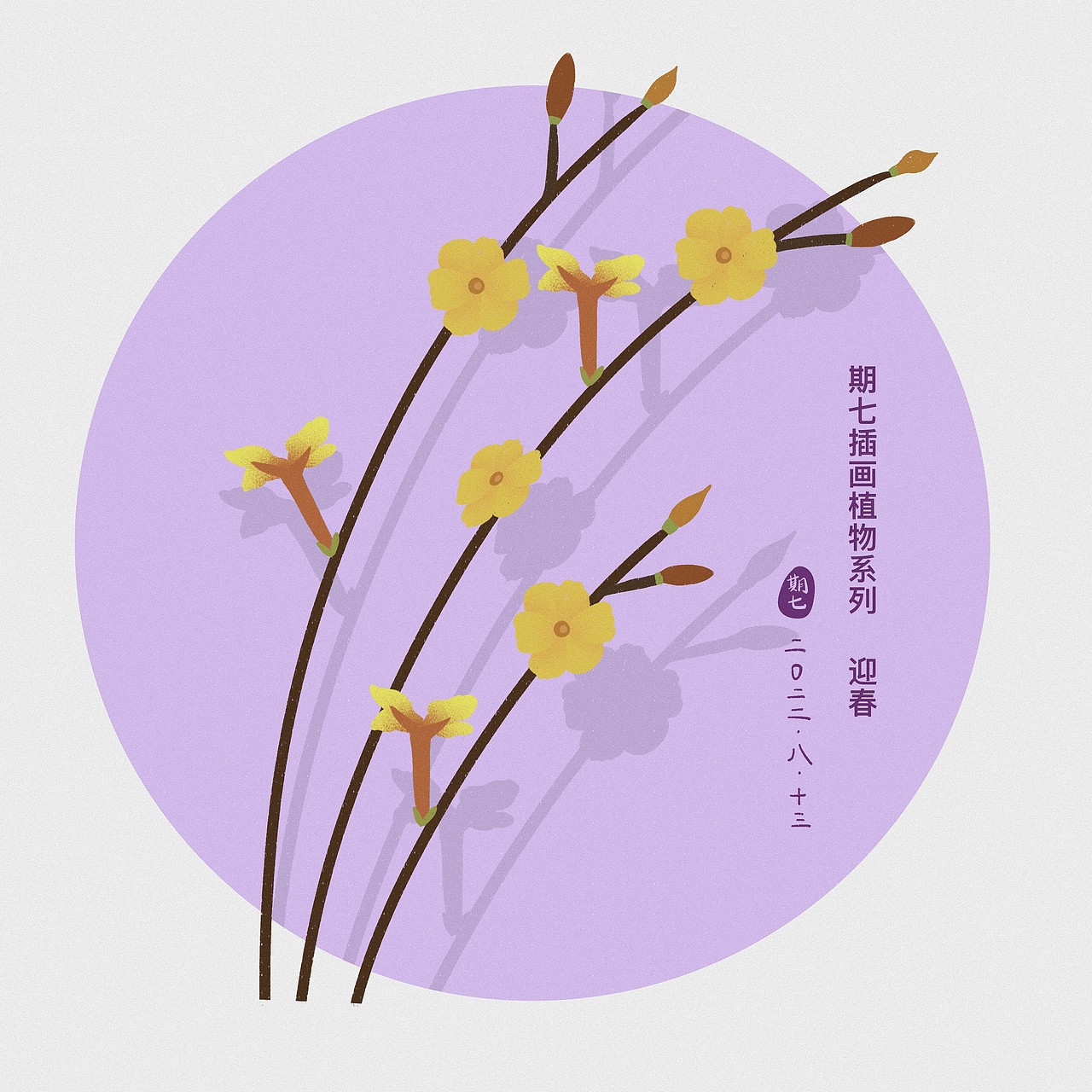 扁平风插画植物系列合集