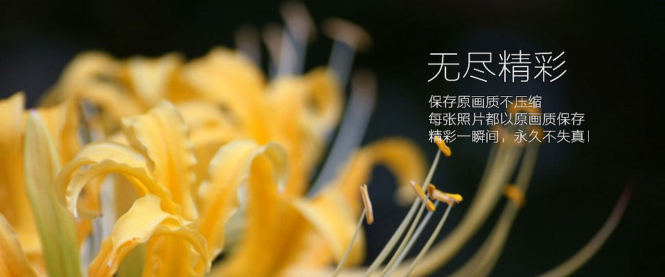 花 -原创 banner图片 练习（图ZMjkxOTcyNDg=） - 运营设计 - 站酷设计师Ice506原创素材 - 站酷ZCOOL