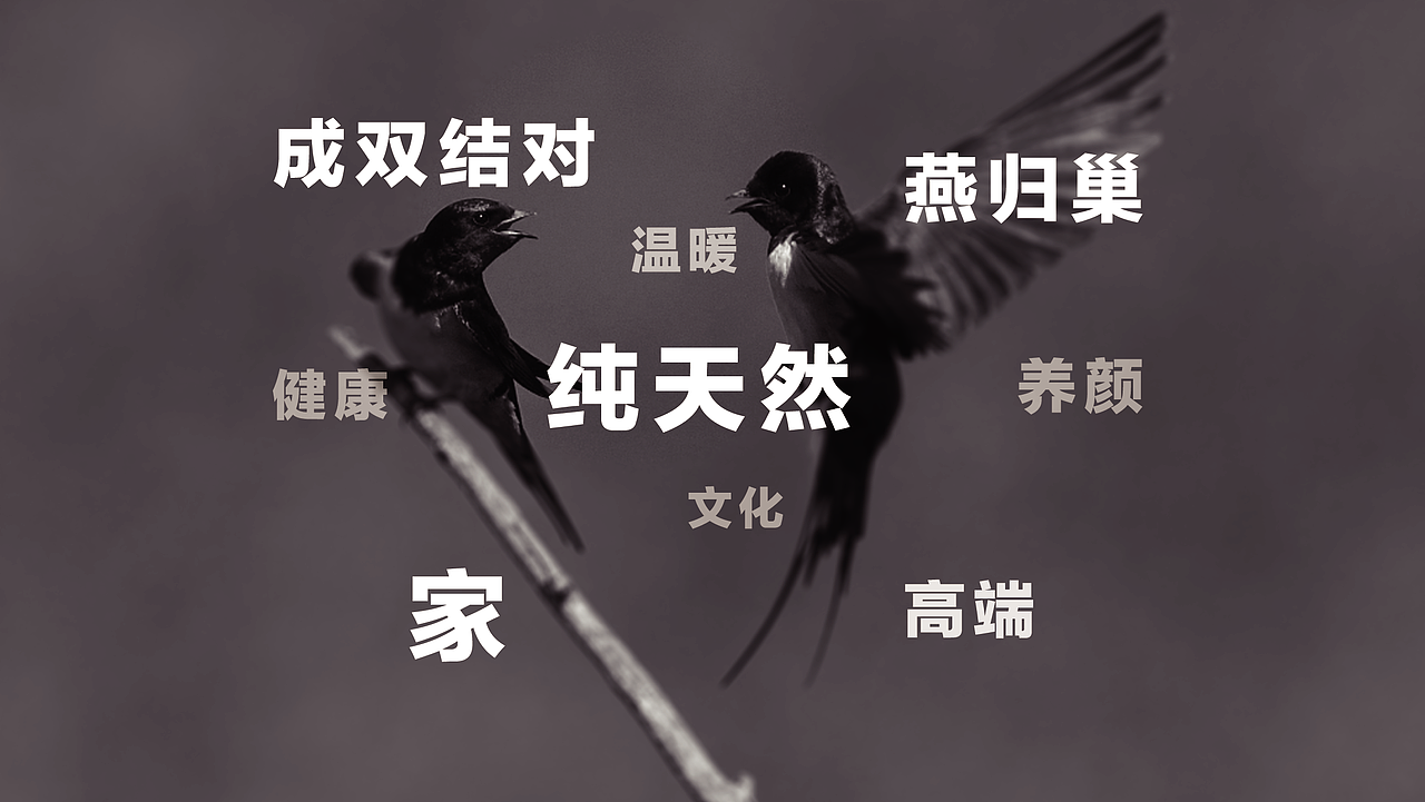 菡绮堂-燕窝-HANQITANG（图ZMjM5MTQzMDQ4） - 品牌 - 站酷设计师一顿小土豆原创素材 - 站酷ZCOOL
