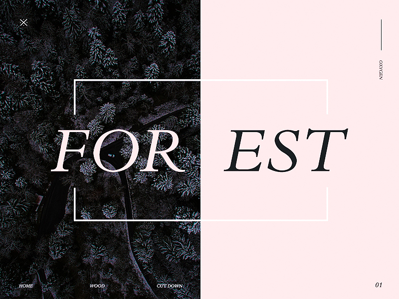 Black Monday_Dribbble2.0