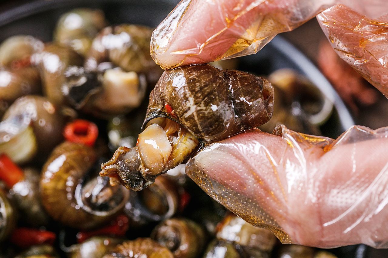 仙贝|花蛤|蒜泥生蚝|八爪鱼|蟹钳|对虾|花雕醉蟹|螺蛳（图ZMjExMDgwNTU2） - 产品摄影 - 站酷设计师烟台美食摄影师酋原创素材 - 站酷ZCOOL