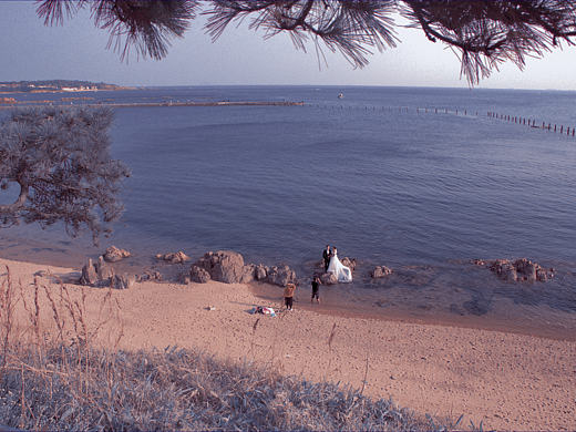 青岛八大关海滩风景
