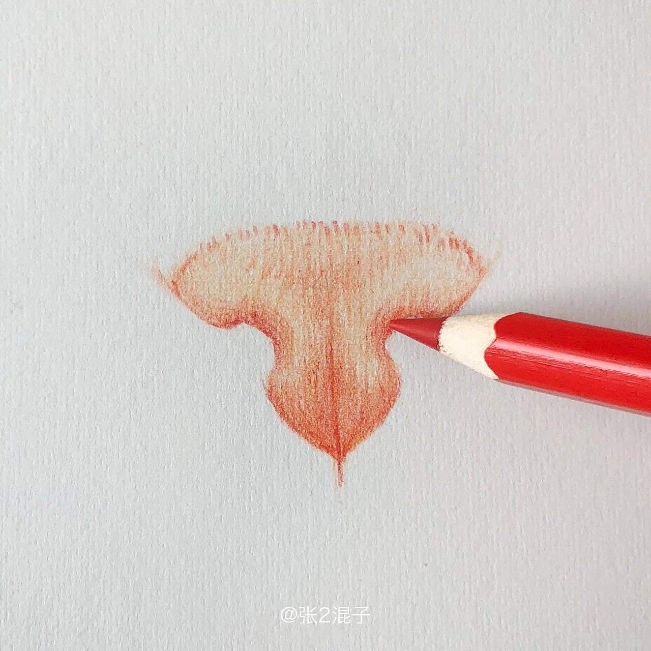 彩铅10分钟画出粉嫩猫鼻子