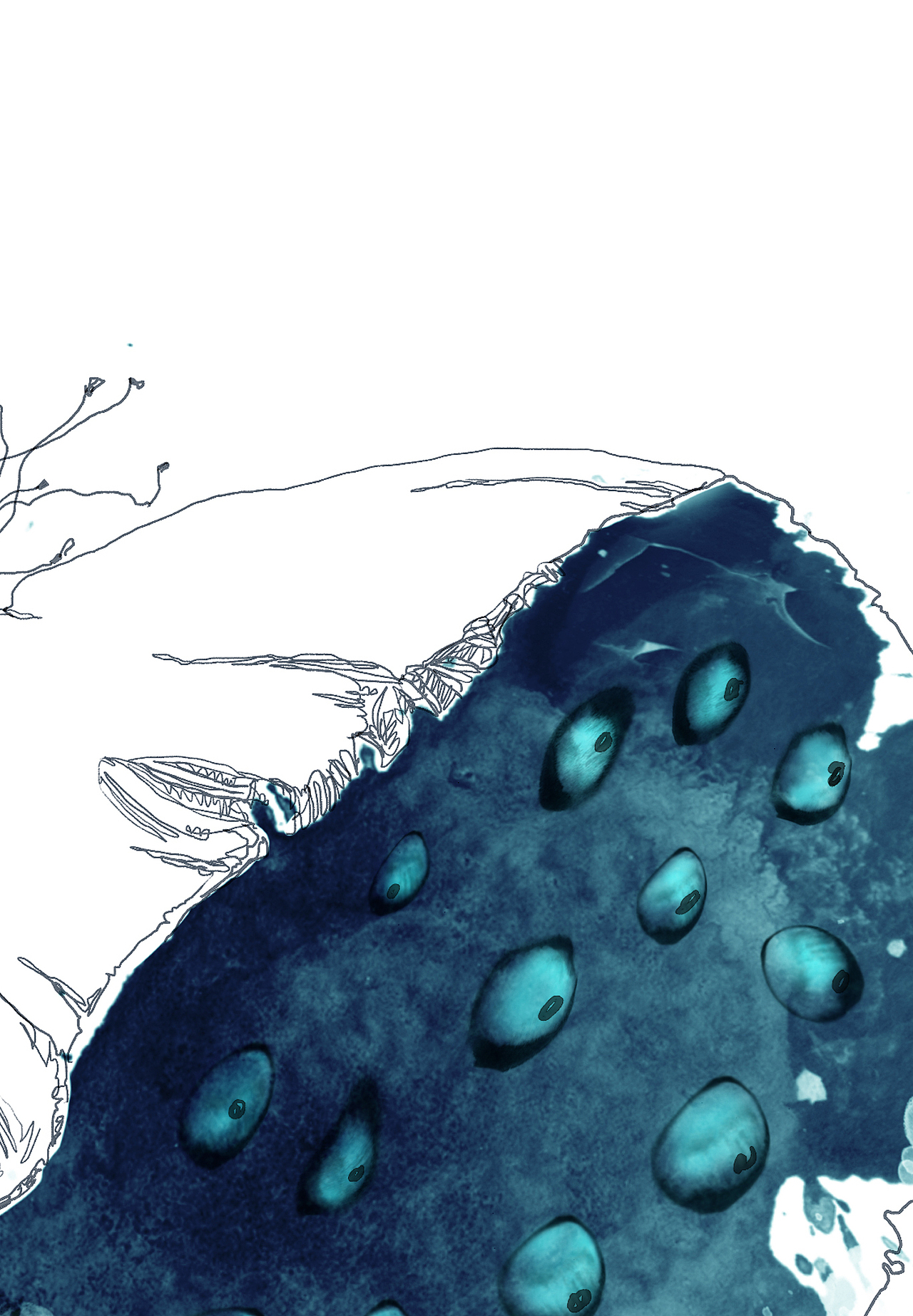 鸩山原创《怡莲幽梦——孕育初夏》手绘莲蓬（图ZMTA4MDUyODQ=） - 商业插画 - 站酷设计师鸩山原创素材 - 站酷ZCOOL