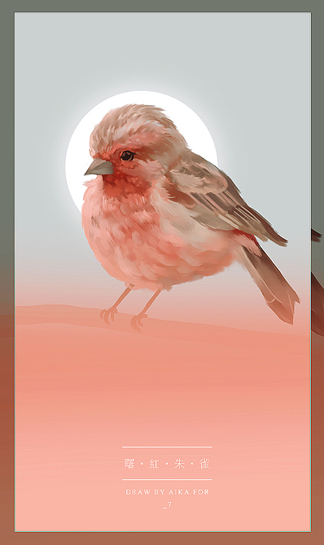 啾啾~肥啾儿?肥球儿~——板绘练习[鸟]9p