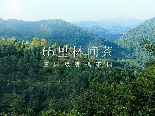 有赞商城首页设计