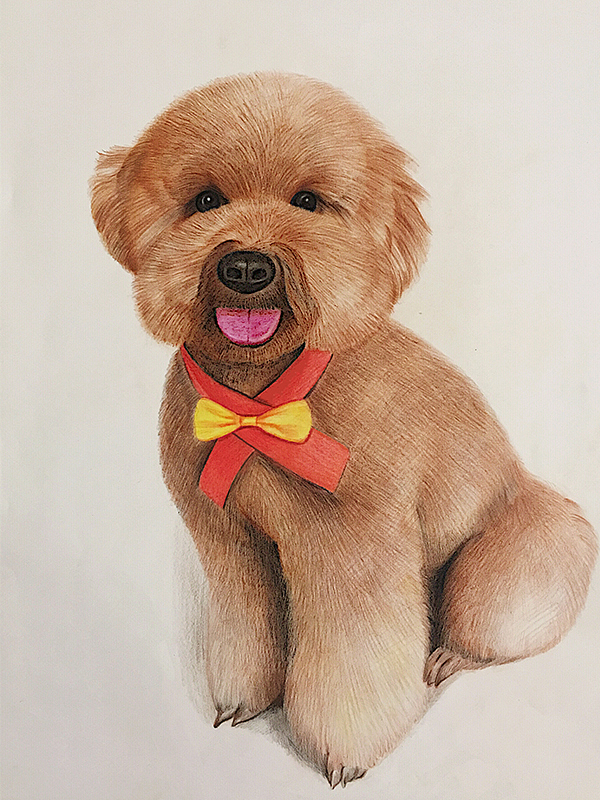 手繪（圖ZMTY0MDc4ODQ4） - 其他 - 站酷設(shè)計師韓承羲原創(chuàng)素材 - 站酷ZCOOL