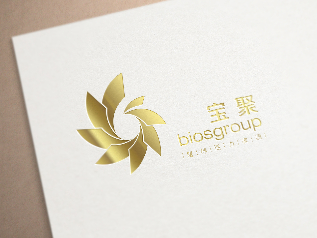 宝聚营养(瘦身）俱乐部Logo设计