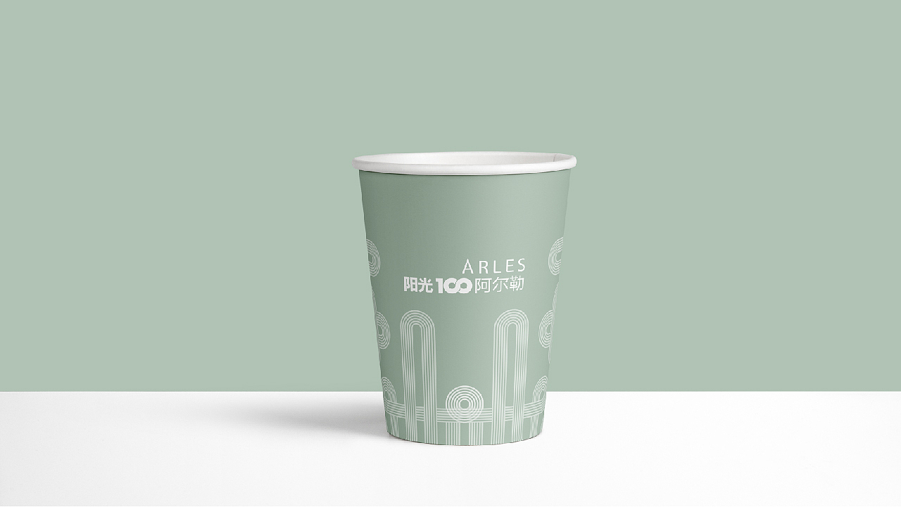 阳光100阿尔勒项目丨提案飞机稿