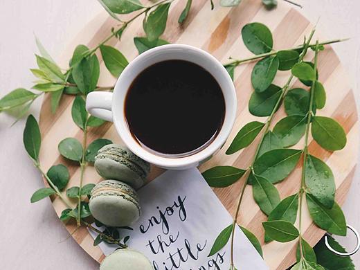 手機版網(wǎng)頁商城（個人主頁-ZMzY5MDY3NzI=） - APP界面 - 站酷設(shè)計師小魚兒與花有缺原創(chuàng)素材 - 站酷ZCOOL