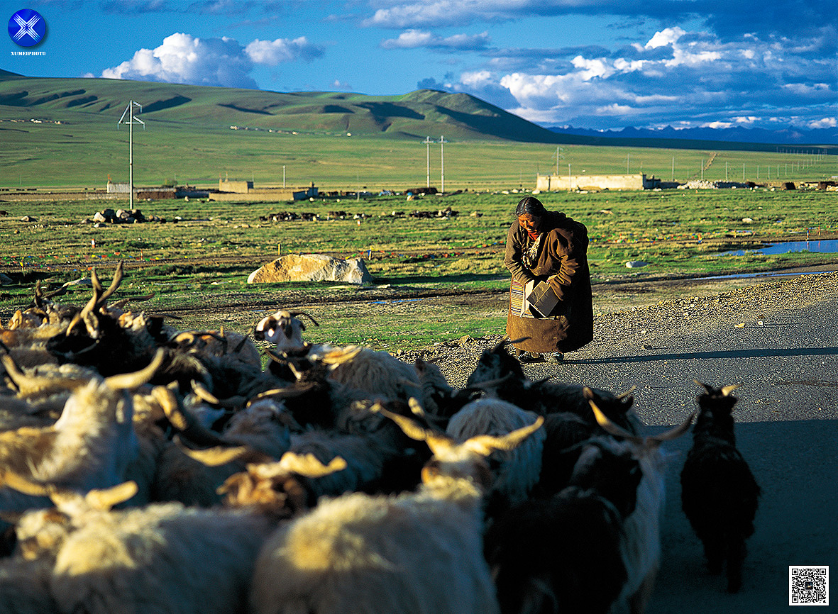 健力宝A8影视平面