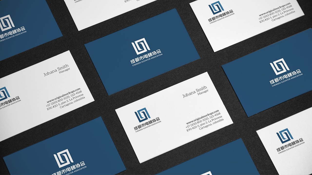 成都电梯协会LOGO