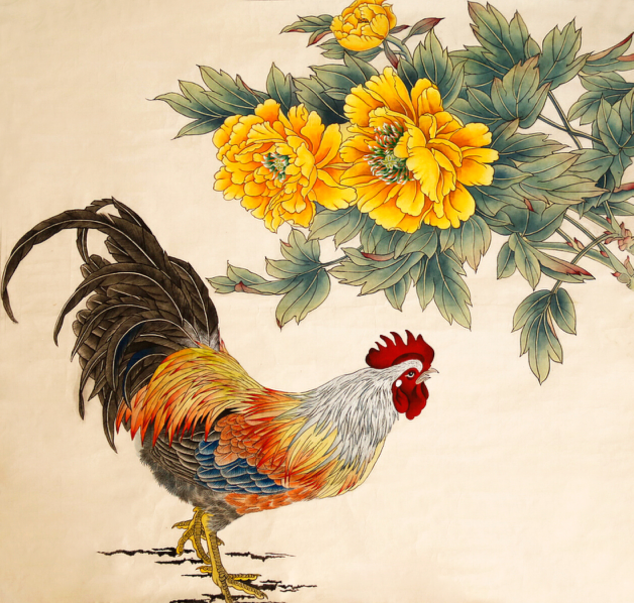彩色打鸣的大公鸡简笔画画法图片步骤💛巧艺网