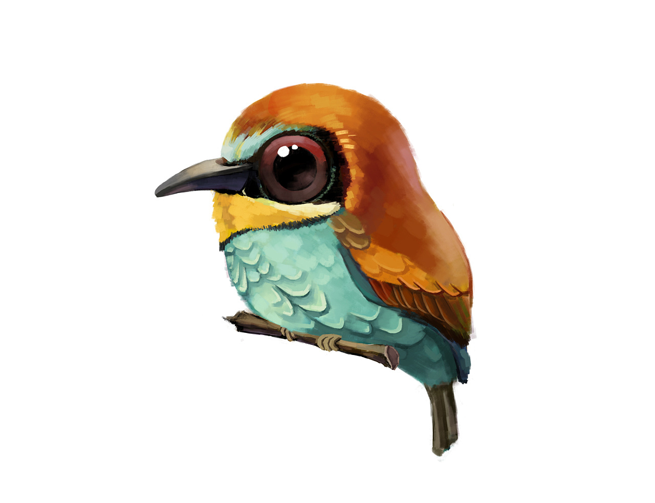 萌宠-鸟 厚涂技法