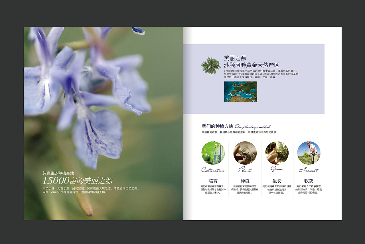 品牌建立，品牌设计，全案整理，品牌策划，包装设计