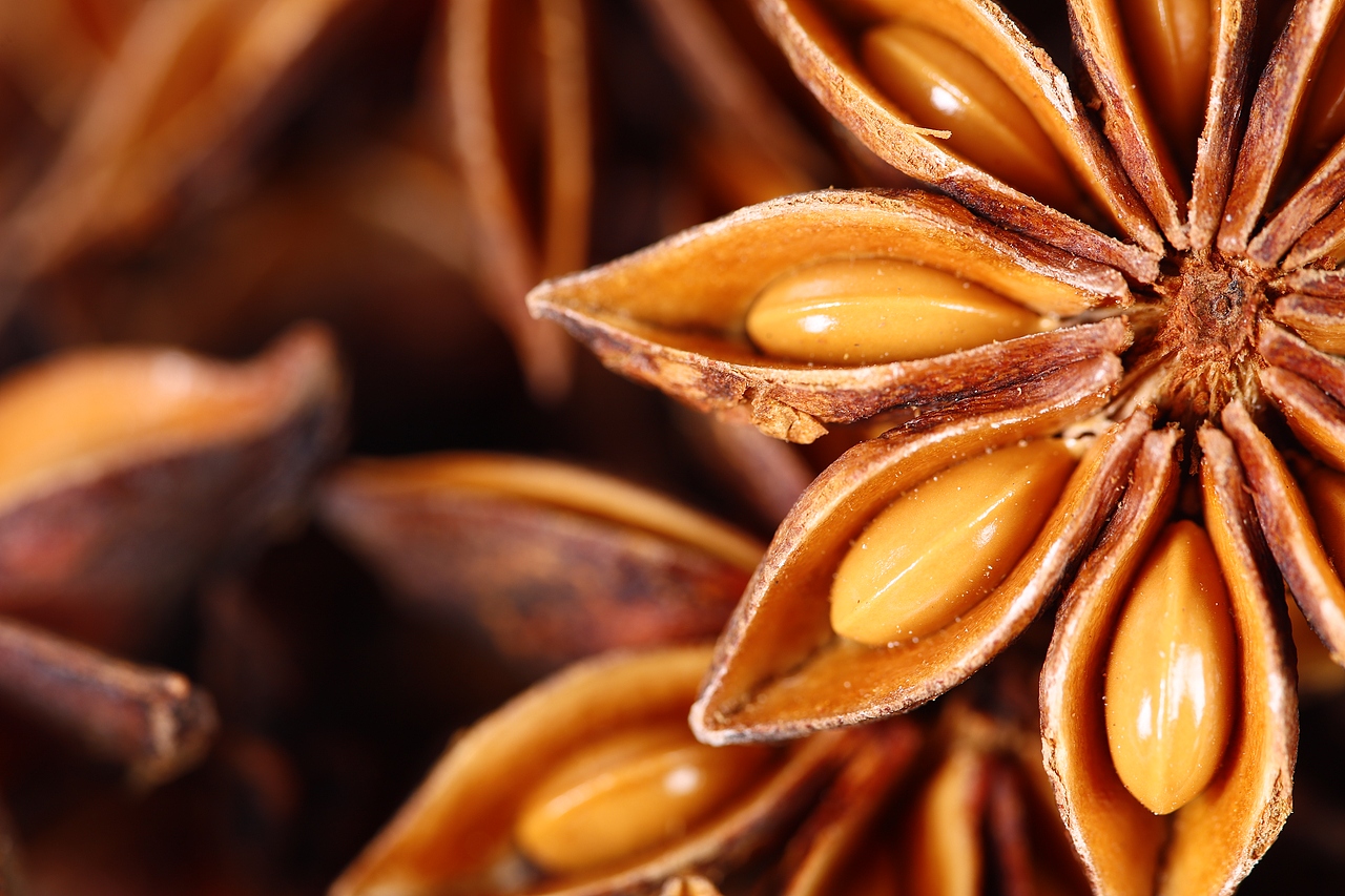 八角