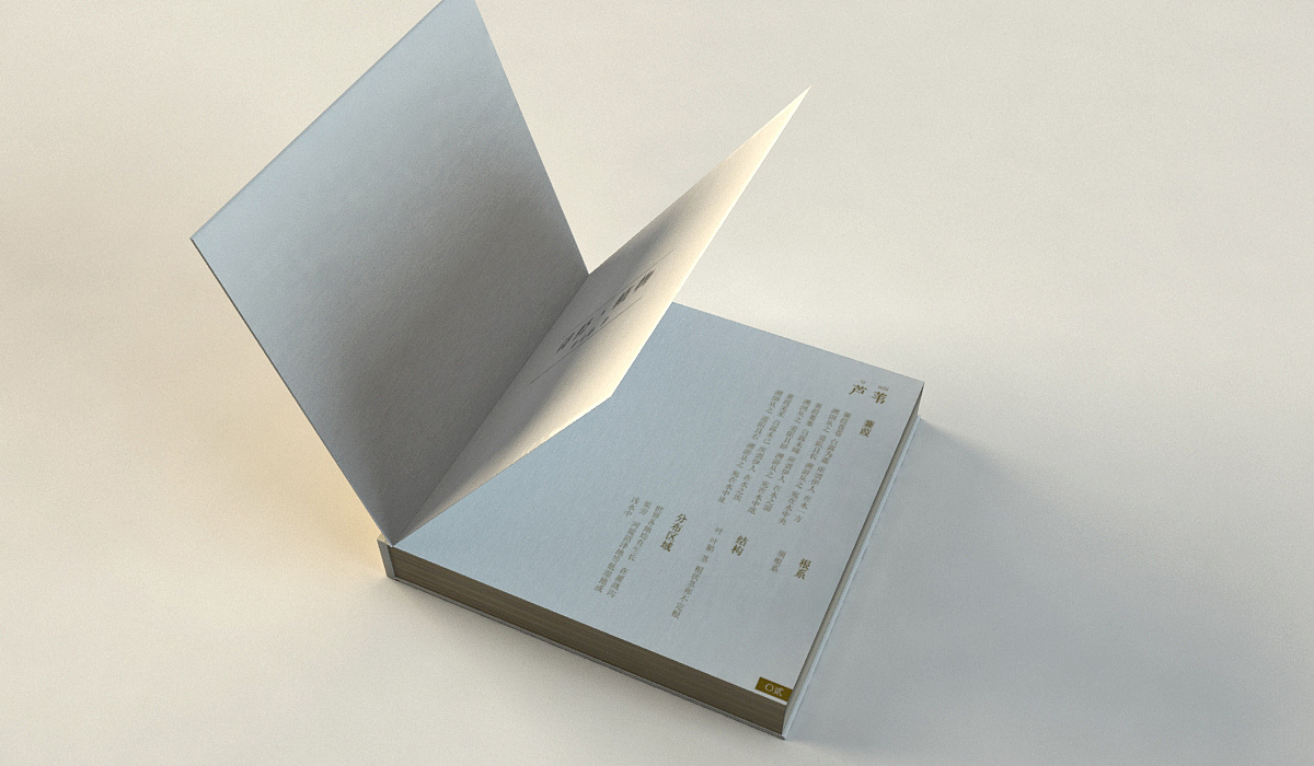 书籍装帧设计渲染图|平面|书籍/画册|xiaofeileung - 原创作品 - 站酷