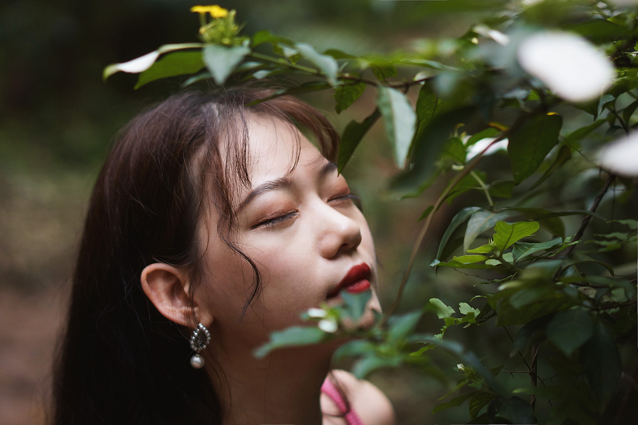 “你来听听吧, 风又吹过了那片森林”