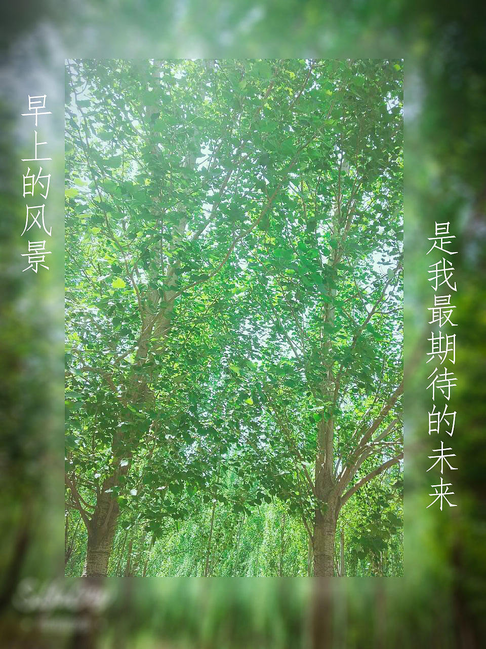 我的美好生活——身边的风景（图ZMTU4MTY2MzE2） - 其他UI - 站酷设计师卿雨韵原创素材 - 站酷ZCOOL