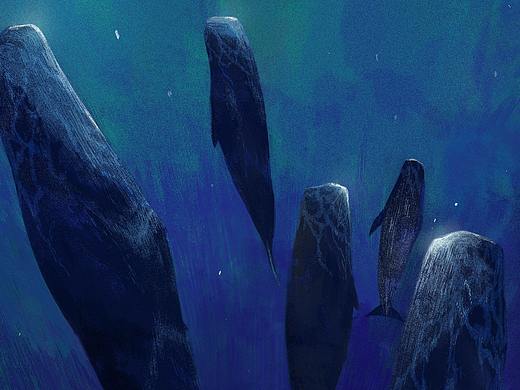 sleeping whale