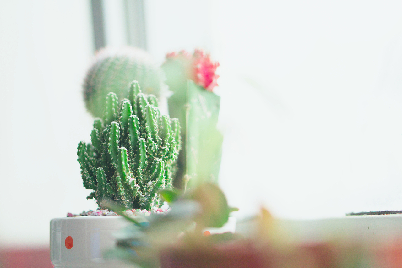 只是记录一下生活。（图ZMzkxMTQzMjA=） - 其他摄影 - 站酷设计师懂小白原创素材 - 站酷ZCOOL