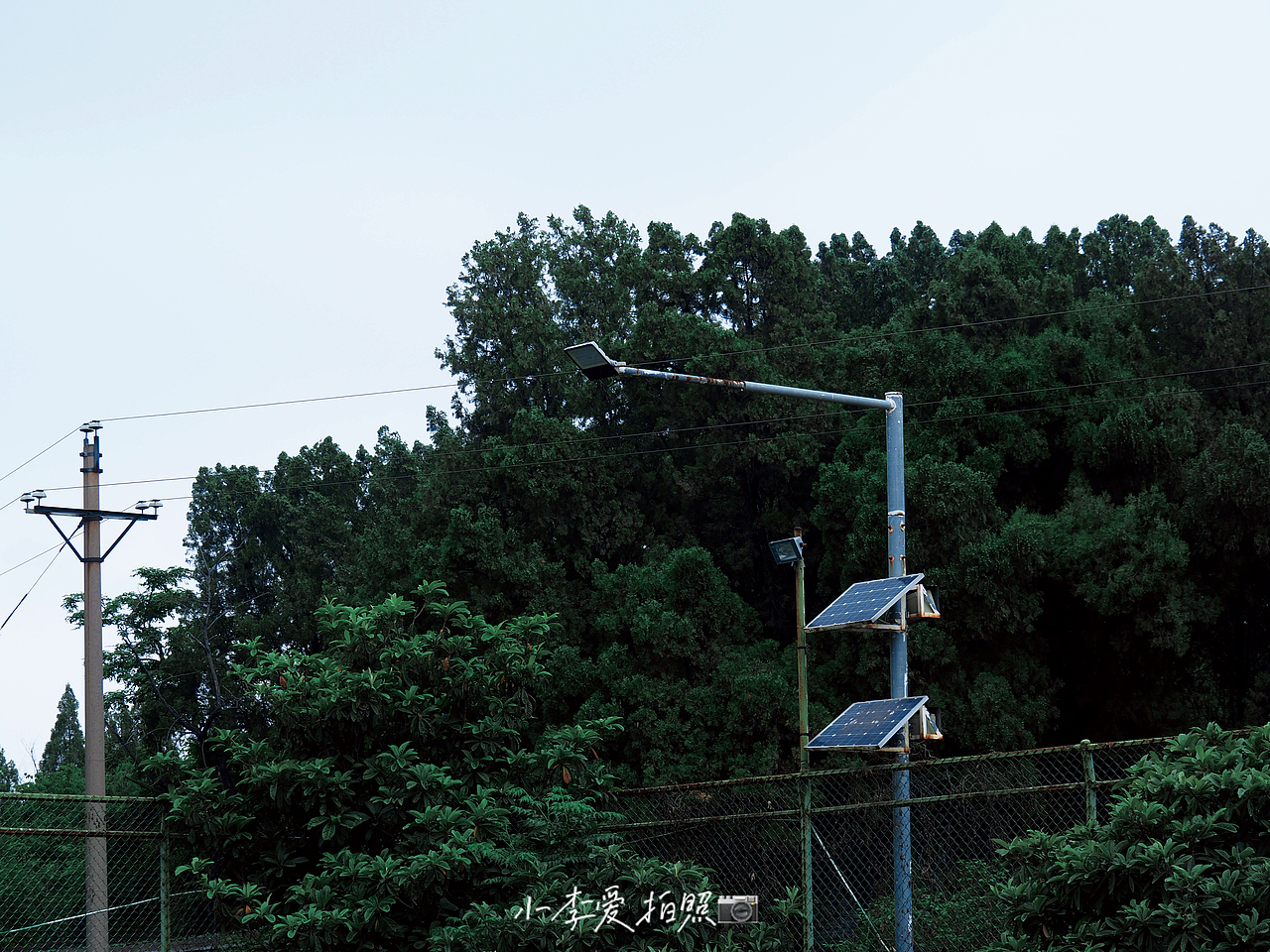 旅拍摄影师📷|外勤|绿色梦境🍃