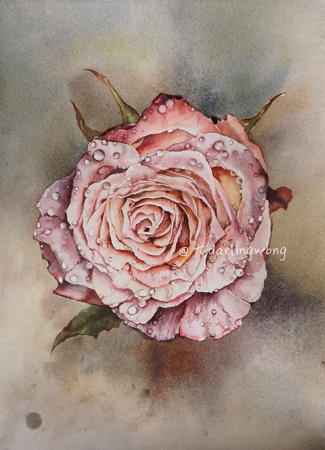 玫瑰（图ZMTAwNjUzMzQ0） - 绘画 - 站酷设计师darlingwong原创素材 - 站酷ZCOOL