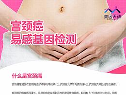 美因