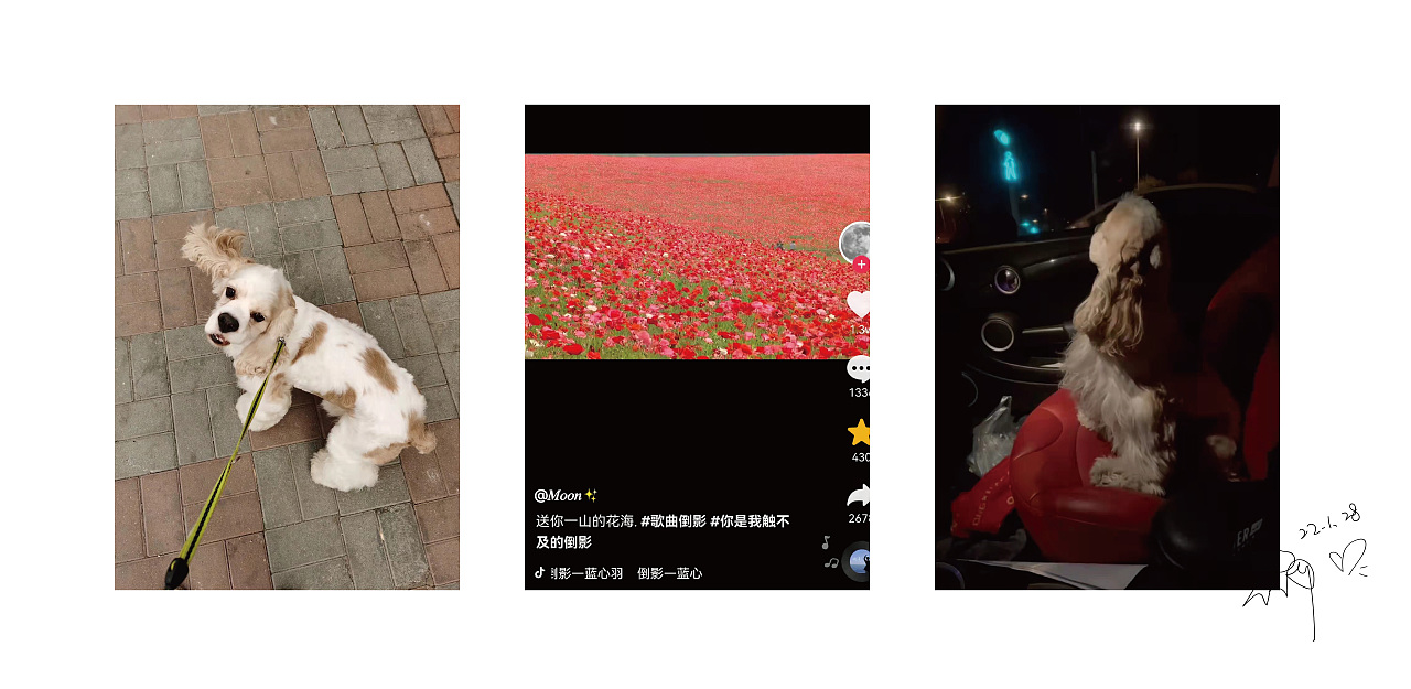 星光系列插画（图ZMjg2Njc4ODQw） - 创作习作 - 站酷设计师陈偏偏原创素材 - 站酷ZCOOL