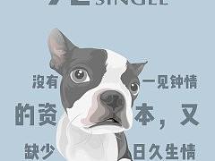 一些节日画面、微信小报