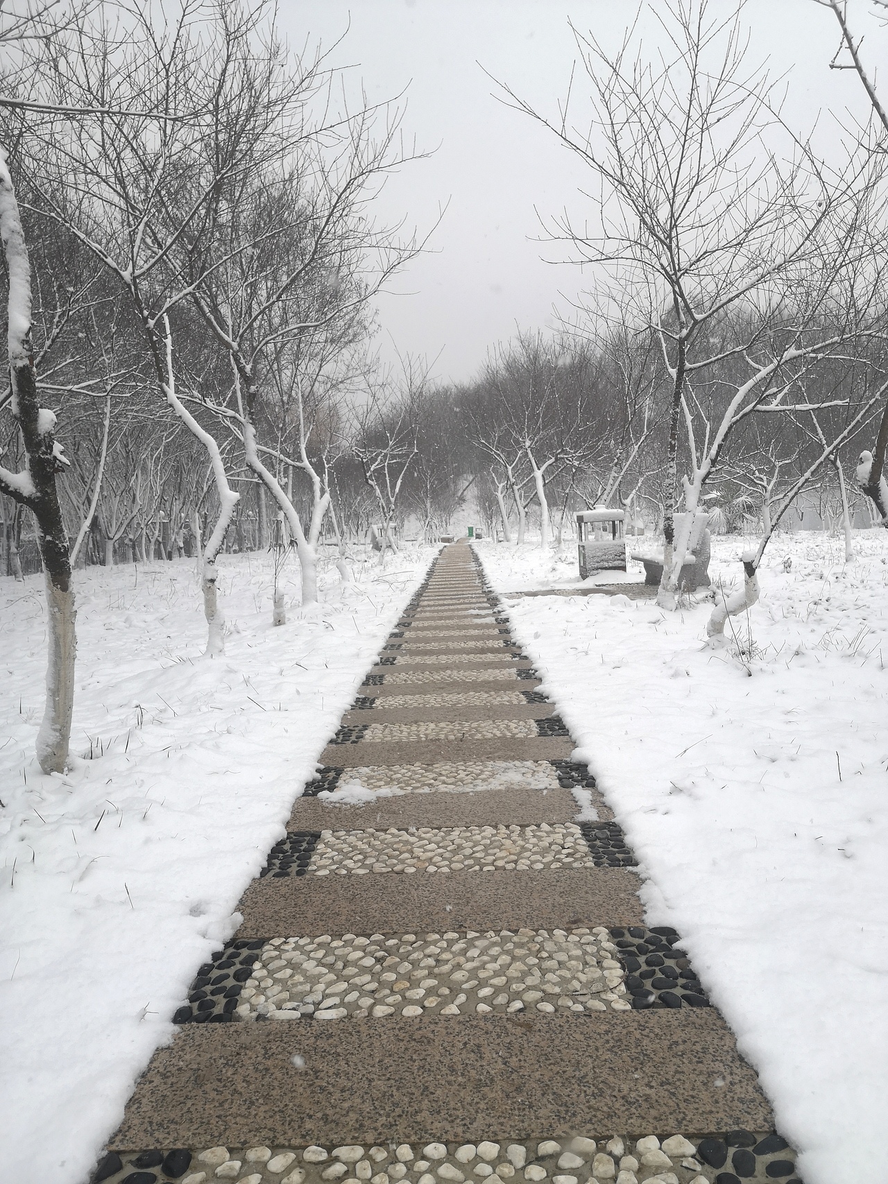 《冬》（图ZMjQxMTI4NDcy） - 风光摄影 - 站酷设计师Noahguo原创素材 - 站酷ZCOOL