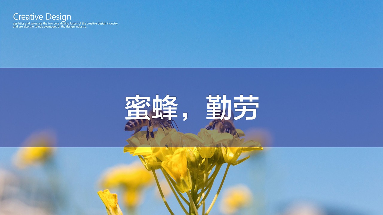 赢赞数字科技logo-蜜蜂logo设计-科技logo-标识设计