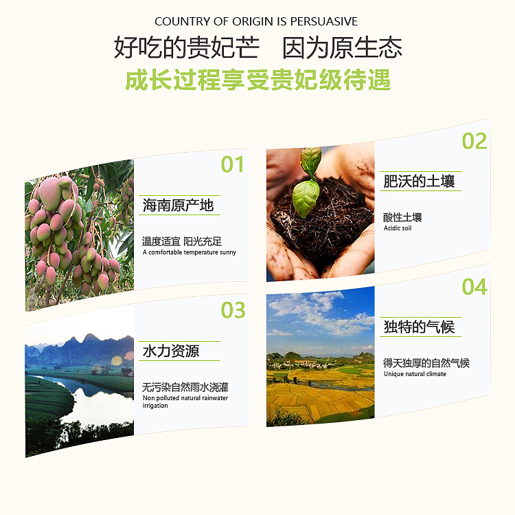 贵妃芒详情页设计（图ZNzgzNDgxNTI=） - 电商 - 站酷设计师SugarNO1原创素材 - 站酷ZCOOL