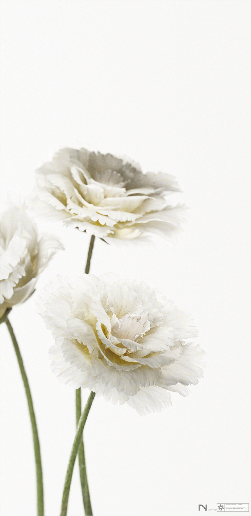 近期产品渲染练习（图ZMzY2NDk2MzQ0） - 产品 - 站酷设计师其实我脾气超好的原创素材 - 站酷ZCOOL