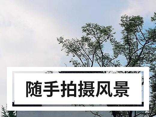 我的摄影作品