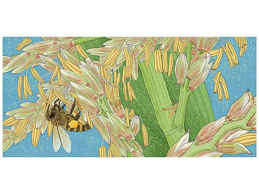科普插画 微观世界 昆虫植物 知识地图