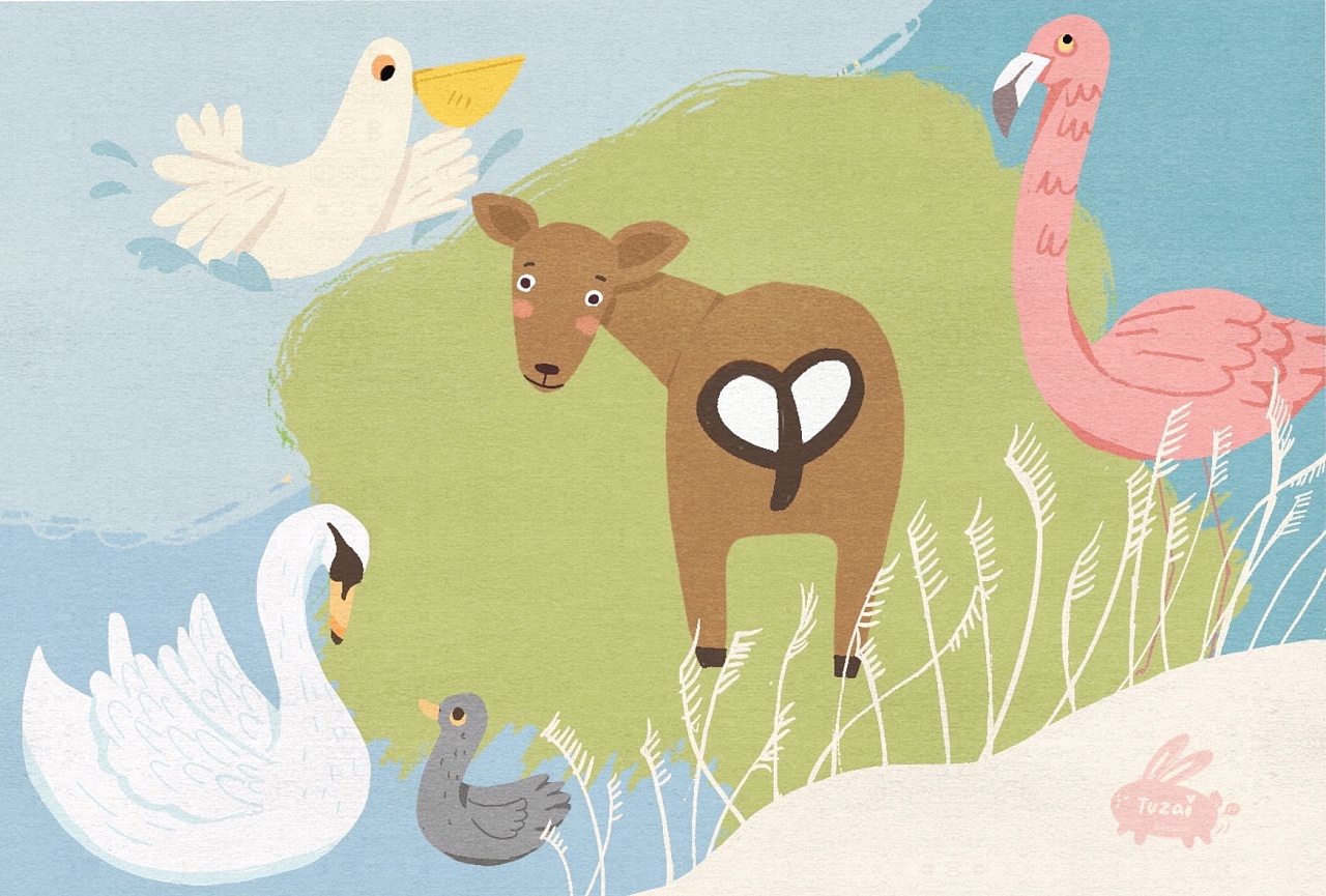 湿地公园的小动物