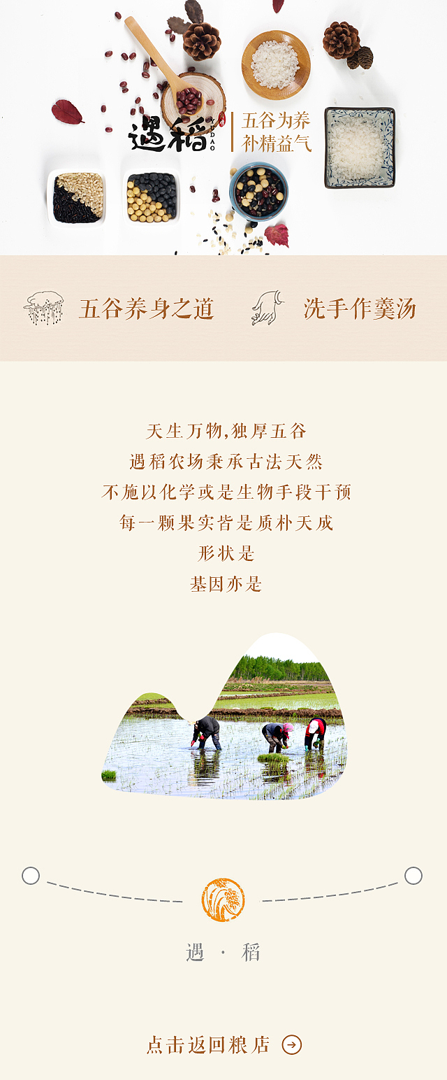 遇稻微信商城及分页面设计（图ZMTA4NjYyNjUy） - 移动端网页 - 站酷设计师Guos7原创素材 - 站酷ZCOOL